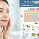 セラミドの美肌効果とは？種類別の特徴や正しいケア方法を詳しく解説